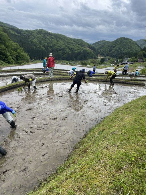 田植え体験会